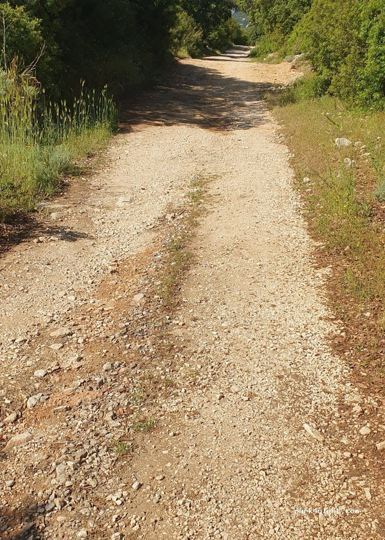 (08025) Oliena - Unnamed Road — foto 4