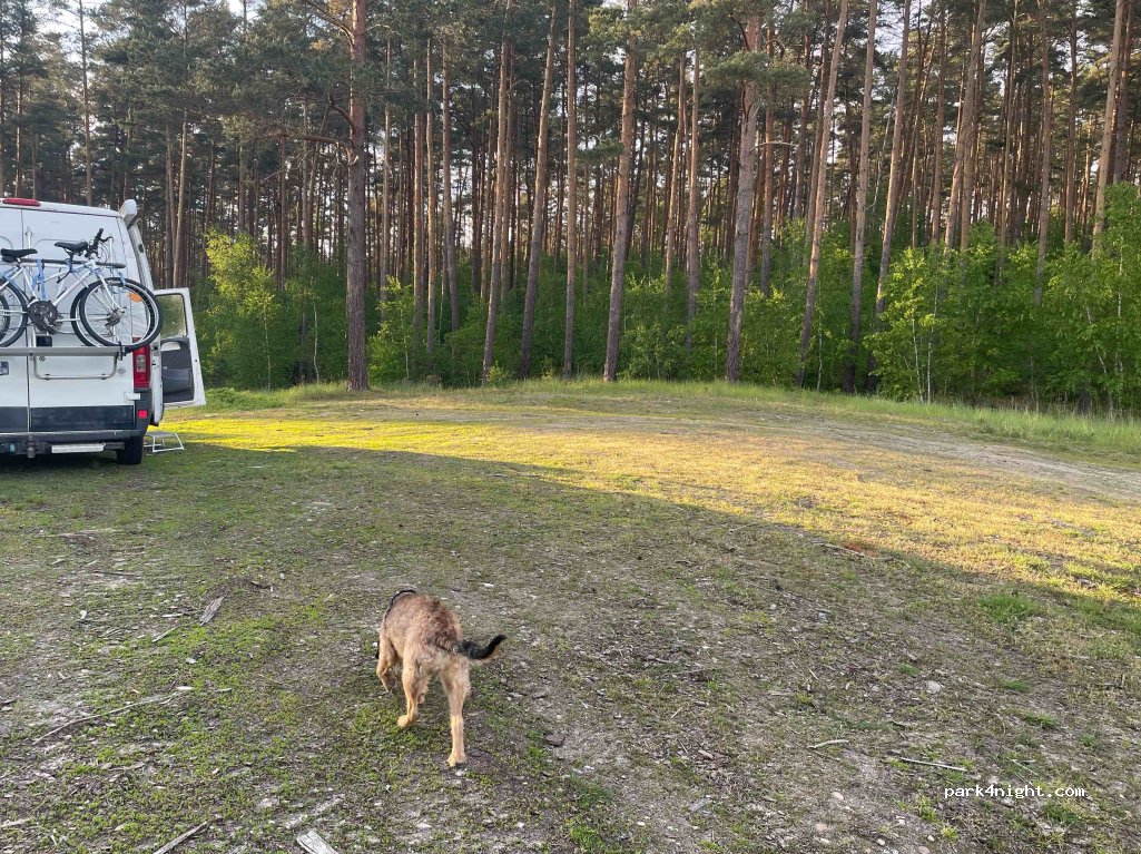 (14548) Schwielowsee - — foto