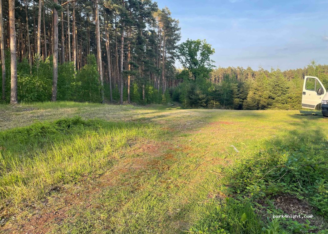 (14548) Schwielowsee - — foto 2