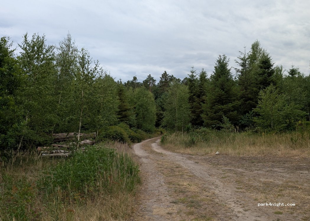 (14548) Schwielowsee - — foto 4