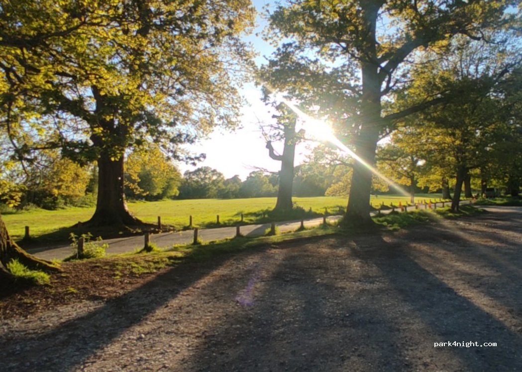 (BH21 4EE) Wimborne - Unnamed Road — foto