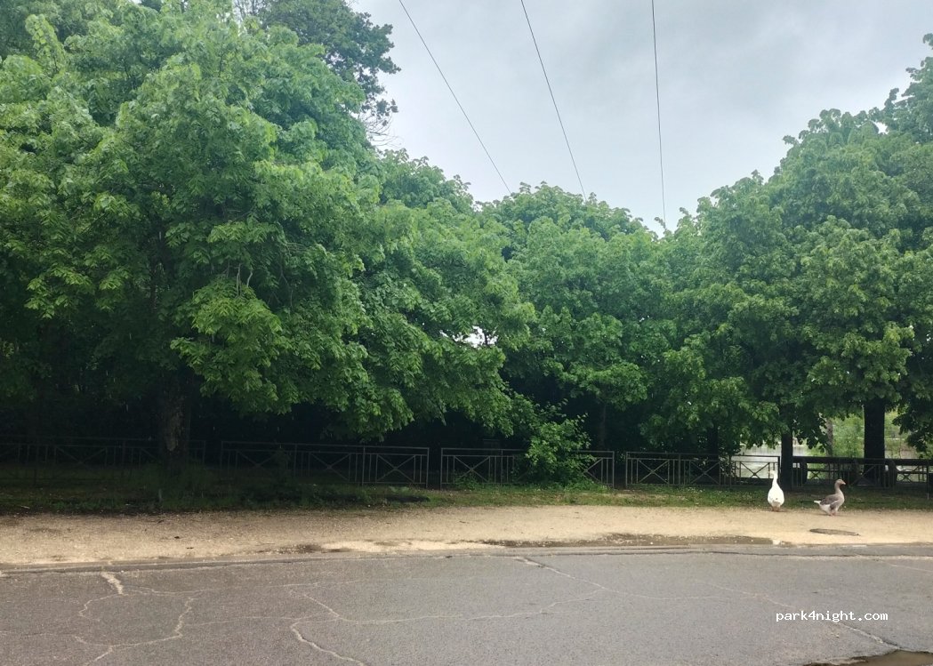 (41000) Blois - 11 Allée de l'Étang — foto