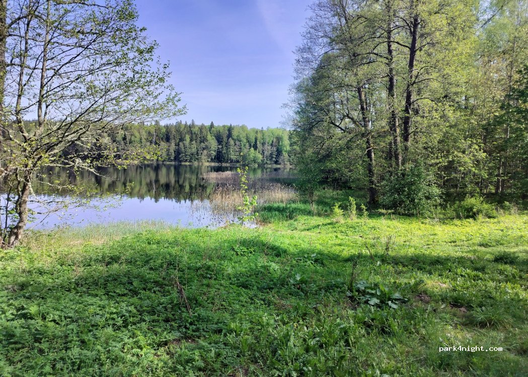 (5473) Melnezers - — foto