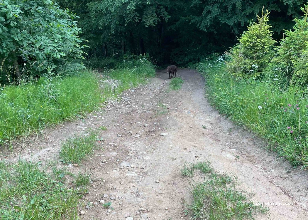 (83-333) Garcz - 5 Spacerowa — foto 3