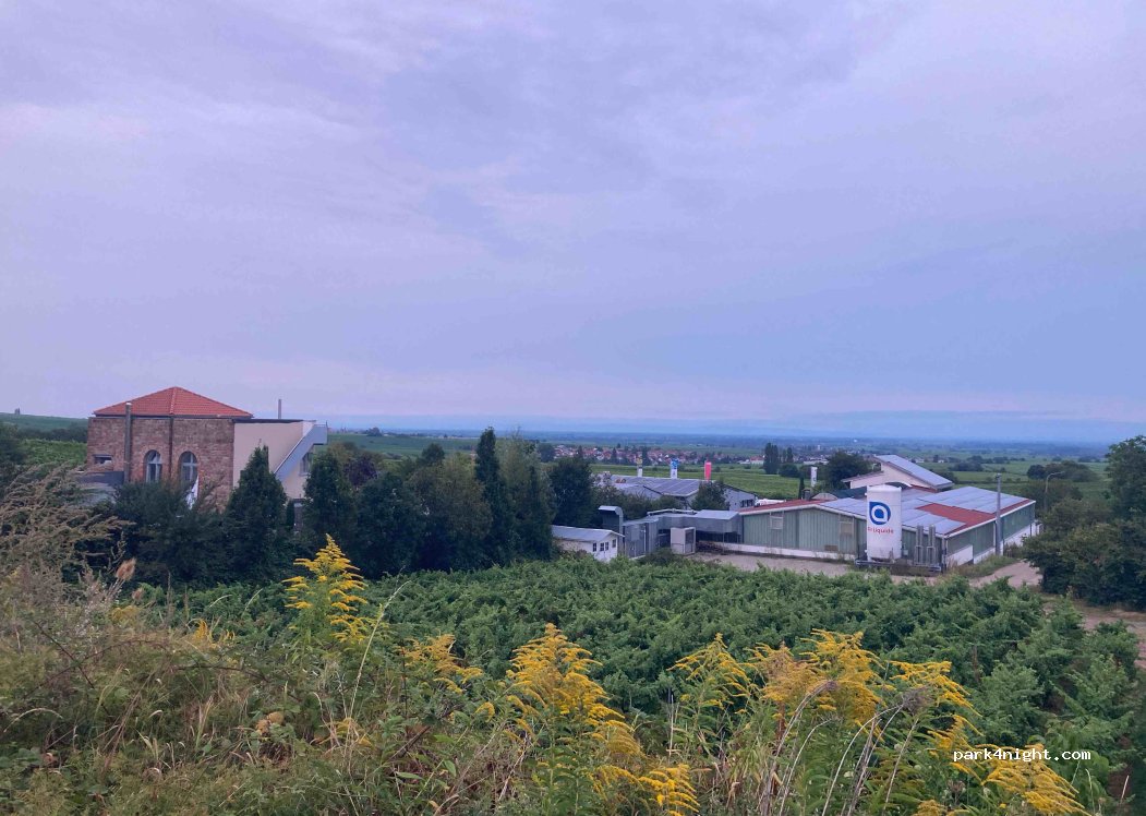 (76835) Burrweiler - 3 Am Schlossberg — foto 2
