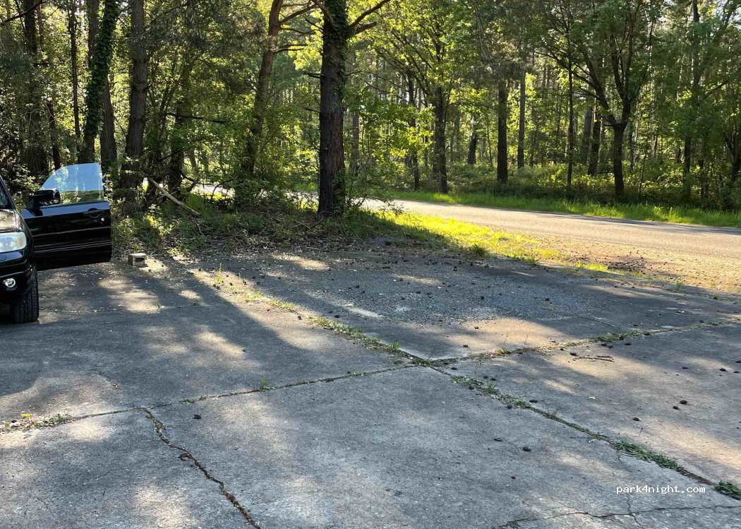 (37500) Saint-Benoît-la-Forêt - — foto 2