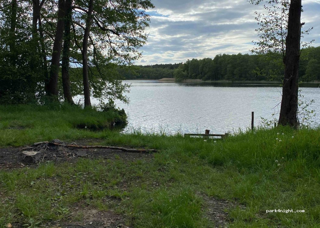 (74-311) Ostrowiec - — foto