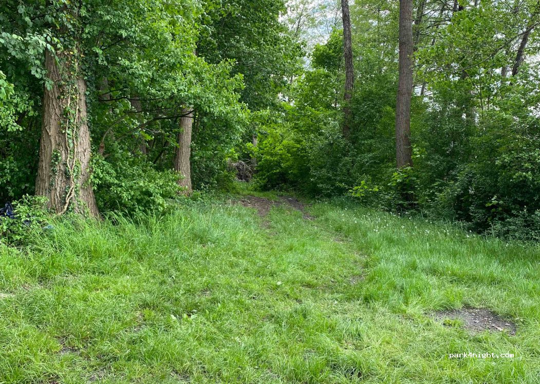 (74-311) Ostrowiec - — foto 2