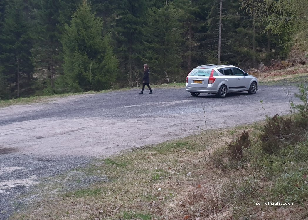 (4737) Hornnes - 1495 Primær Fylkesveg 42 — foto