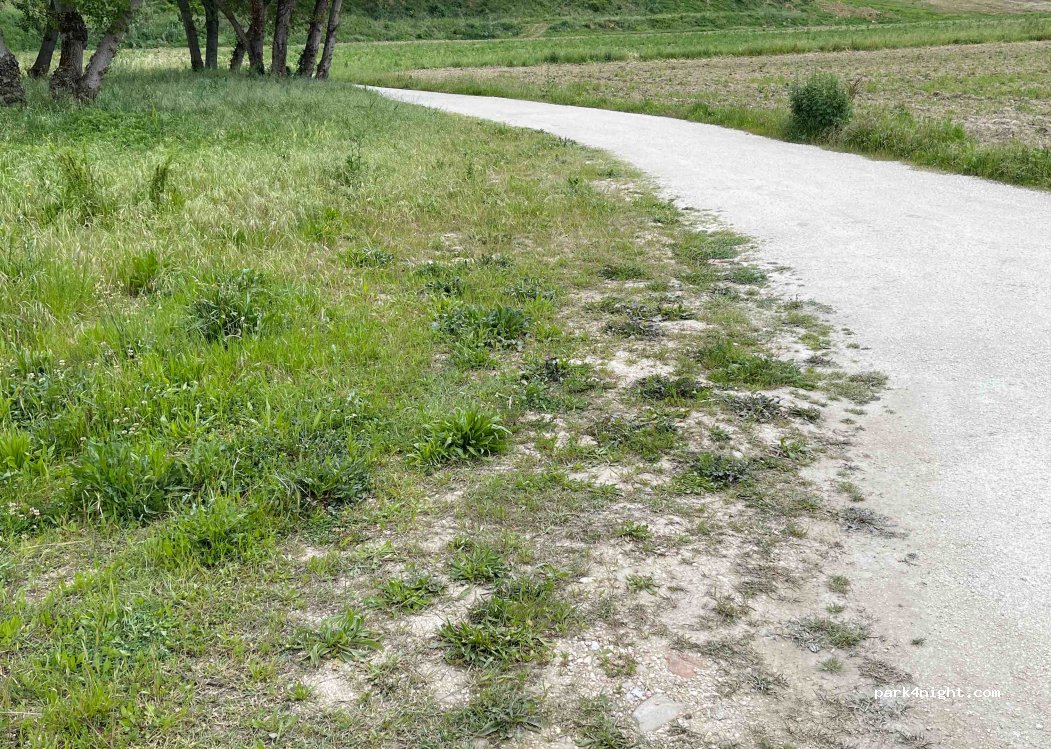 (60030) Maiolati Spontini - Unnamed Road — foto