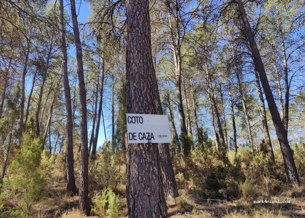(12448) Montanejos - — foto