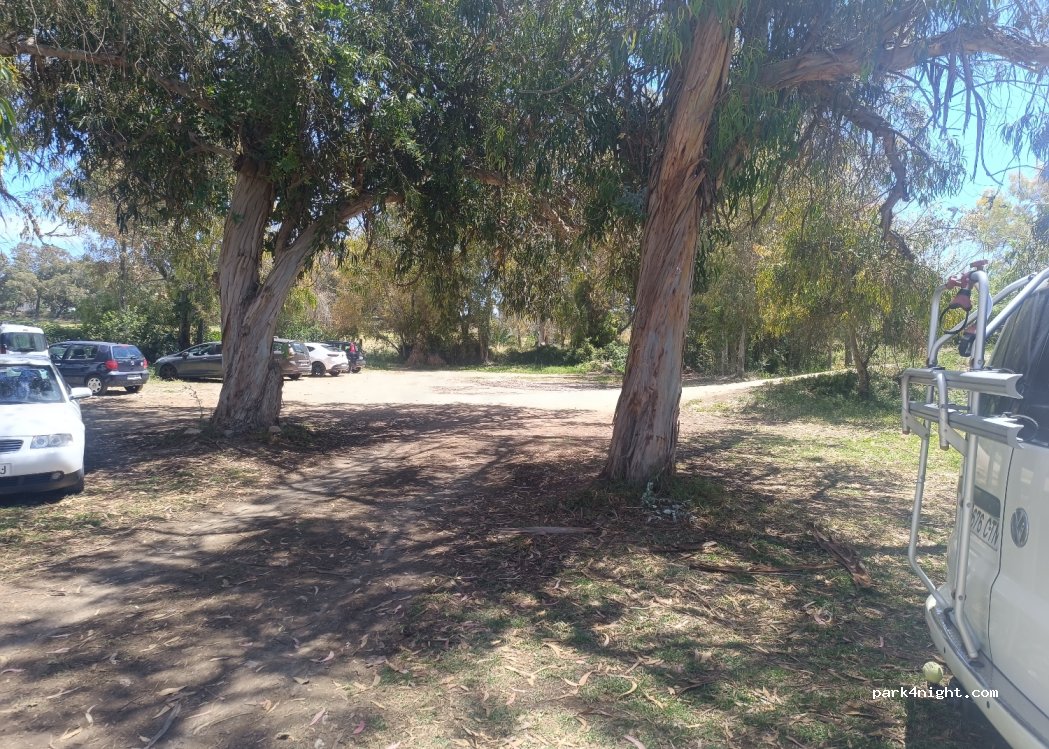 (07183) Calvià - 1 Avinguda Hort des — foto