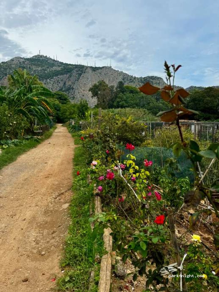 UN' OASI DI TRANQUILLITA'  DENTRO LA CITTA' DI PALERMO — foto 2