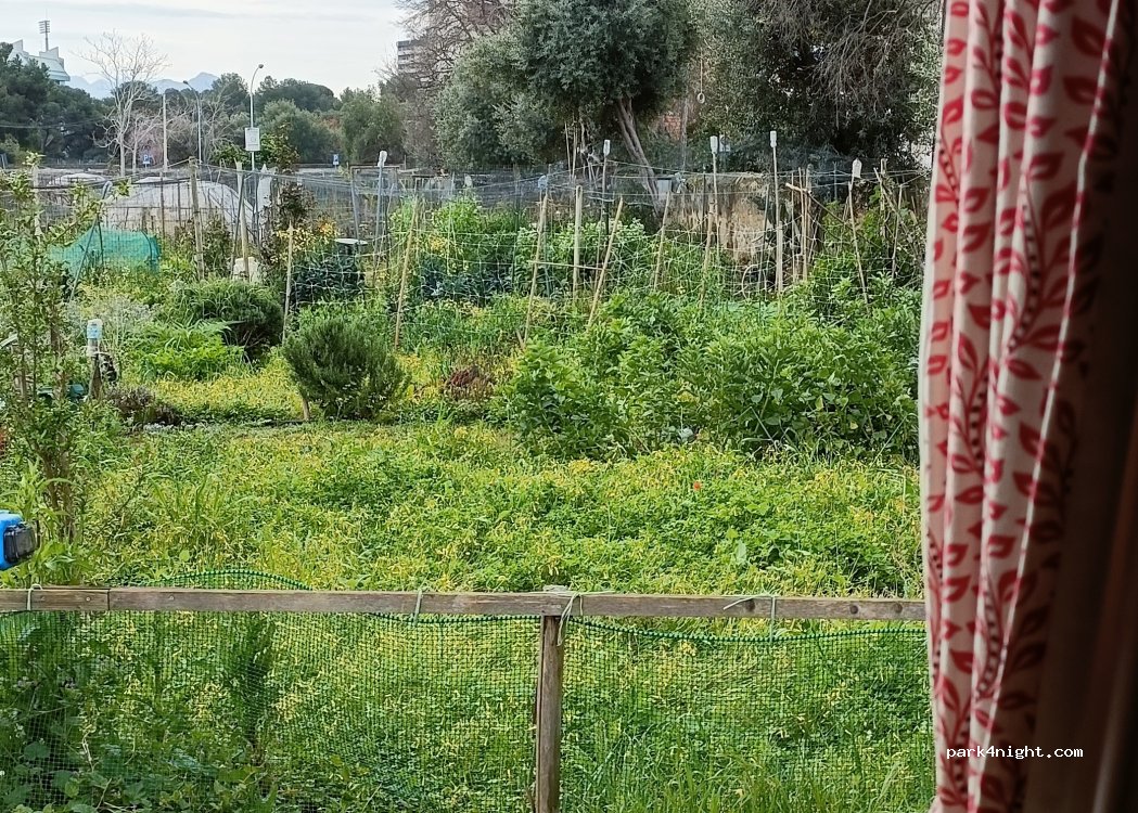 UN' OASI DI TRANQUILLITA'  DENTRO LA CITTA' DI PALERMO — foto 4