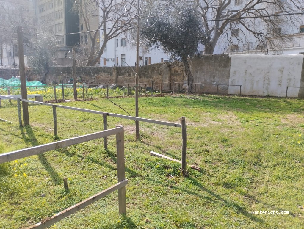 UN' OASI DI TRANQUILLITA'  DENTRO LA CITTA' DI PALERMO — foto 5