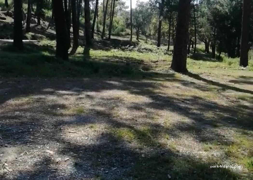 (29490) El Colmenar - — foto