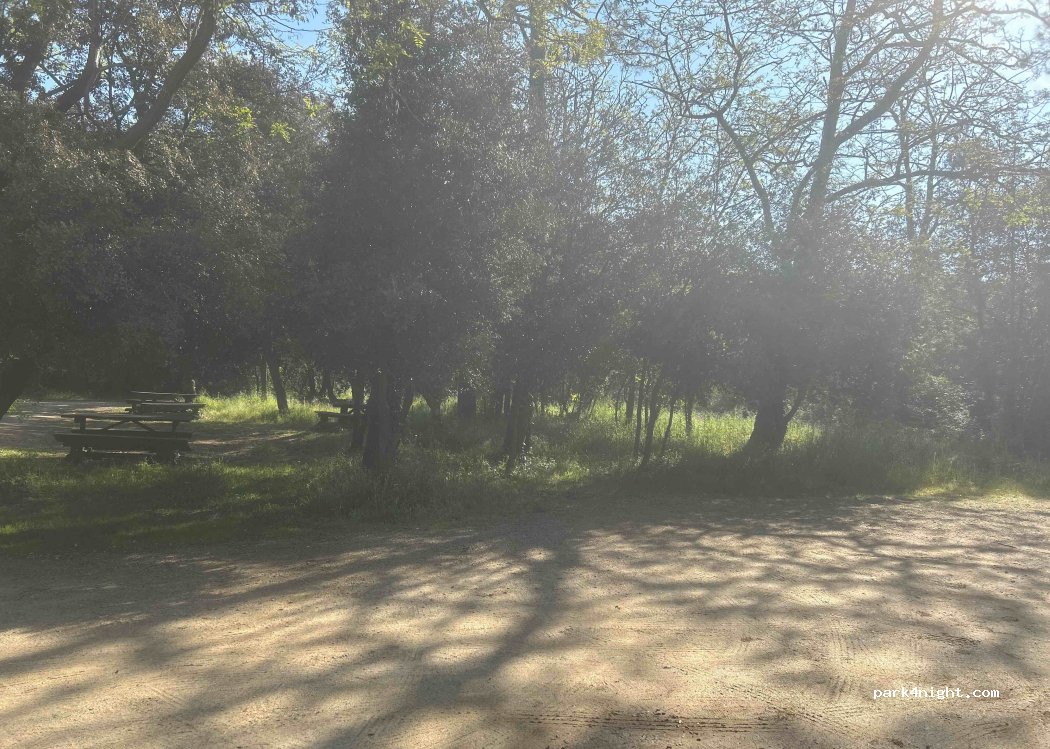 (85160) Saint-Jean-de-Monts - — foto 2