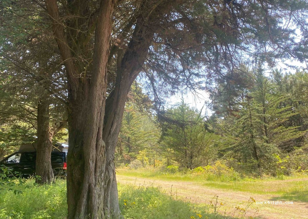 (85160) Saint-Jean-de-Monts - 5 Route de la Tonnelle — foto
