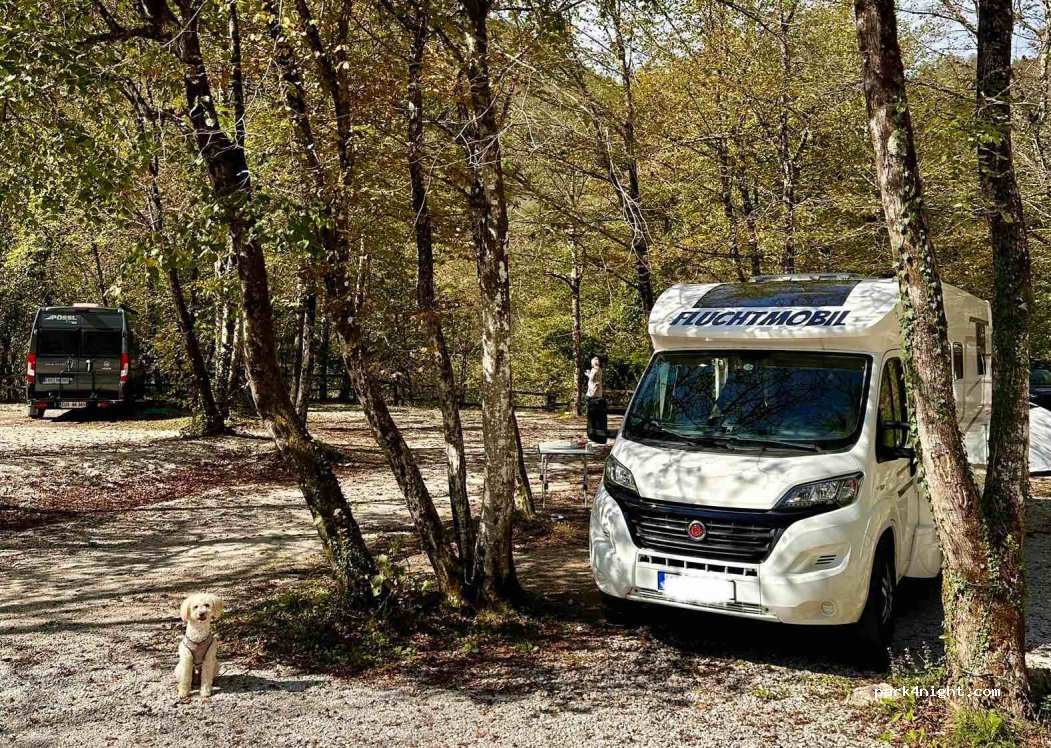 Kamp Koren — foto 4