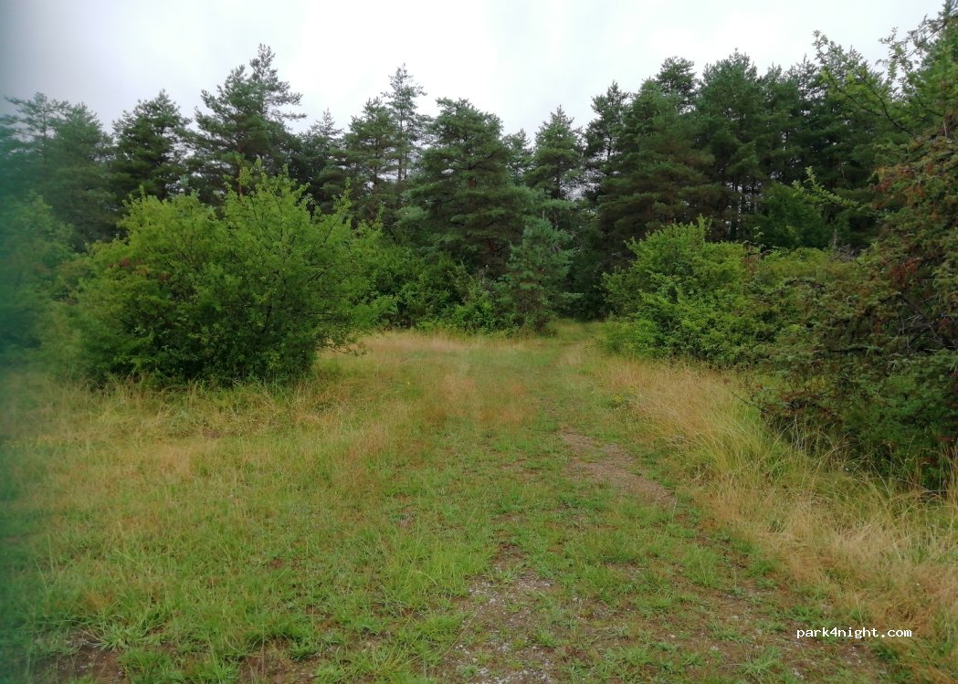 (24310) Paussac-et-Saint-Vivien - — foto 4
