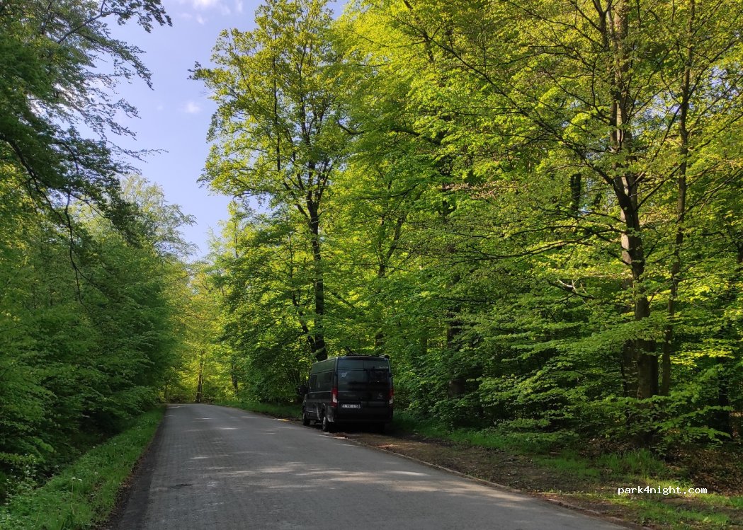 (4900) Spa - 118 Route de la Géronstère — foto 2