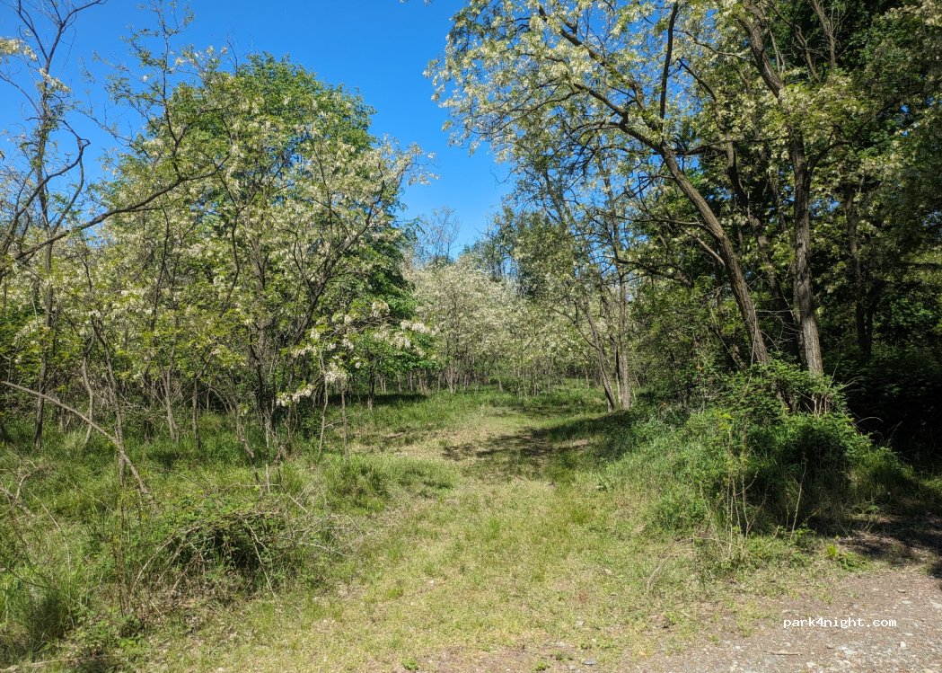(13035) Lenta - Unnamed Road — foto