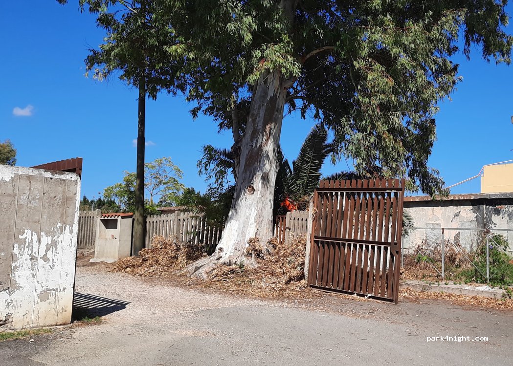 (09037) San Gavino Monreale - snc Via Montevecchio — foto 3