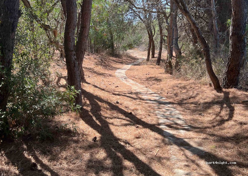 Campeggio Verde Mare — foto 3