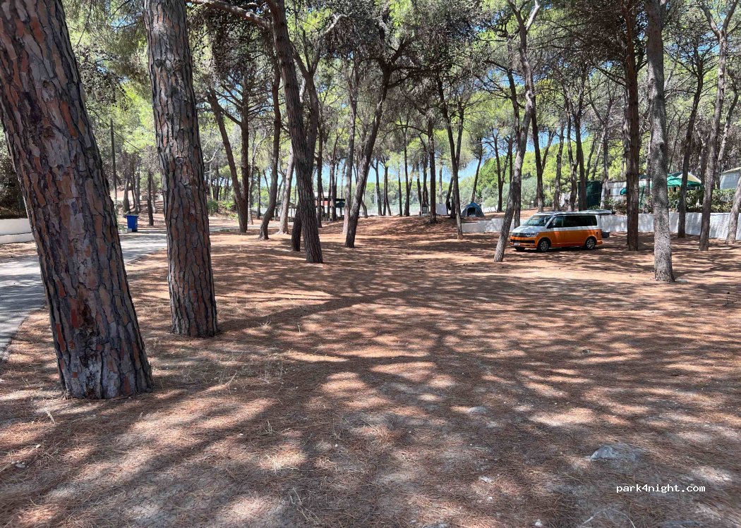 Campeggio Verde Mare — foto 4