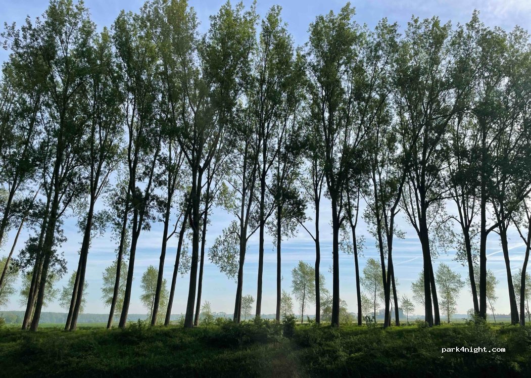 (8340) Damme - Oude Sluissedijk — foto 4
