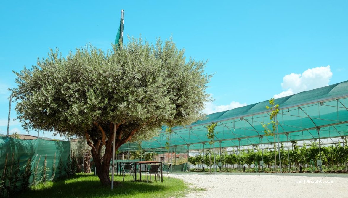 Agro Camping Harmony — foto