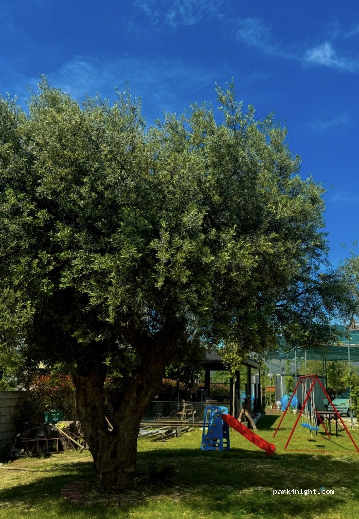 Agro Camping Harmony — foto 3