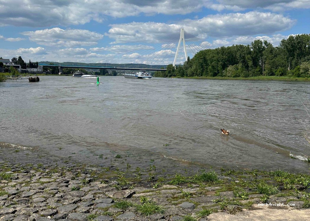 (56575) Weißenthurm - 15A Rheinufer — foto