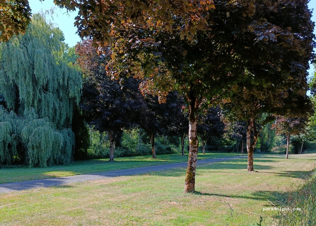 (79600) Airvault - Le Bois de Guillore — foto 5
