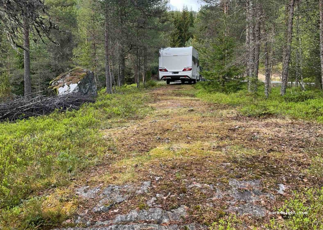 (6774) Heggjabygda - Sekundær Fylkesveg 665 — foto 3