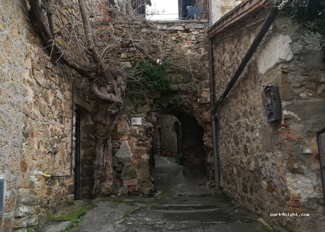 (58014) Montemerano - — foto 3