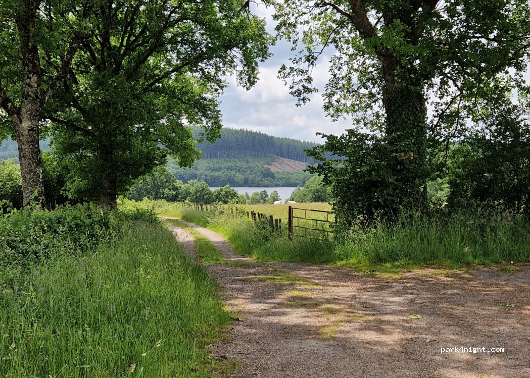 (58230) Saint-Agnan - 21 Route du Bois du Loup — foto 5