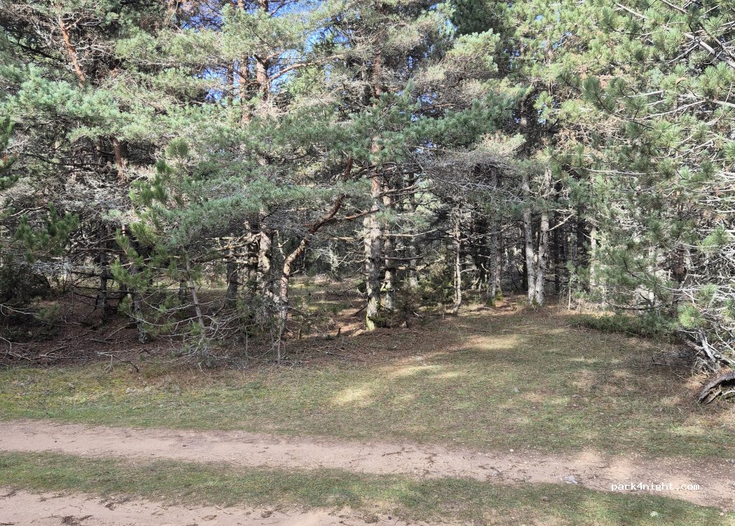 (48000) Saint-Étienne-du-Valdonnez - — foto 2