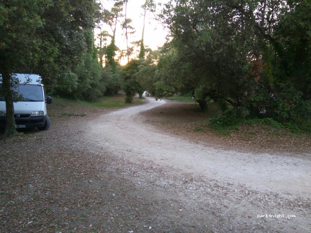 (17190) Saint-Georges-d'Oléron - 56 Route des Saumonards — foto 2