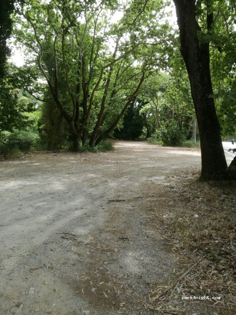 (231 00) Sparti - 15 Ethniki Odos Spartis Mistra — foto