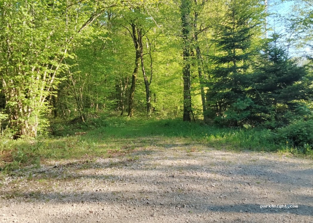 (39800) Chamole - Unnamed road — foto