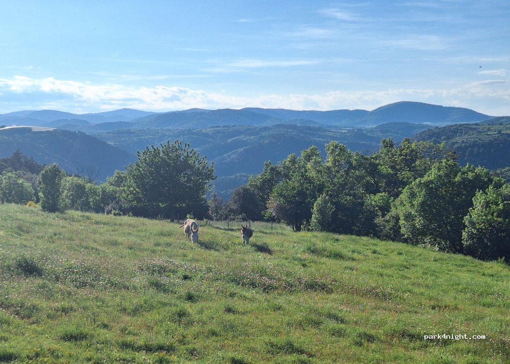 (07300) Saint-Barthélémy-le-Plain - 690 Chemin de Forasson — foto