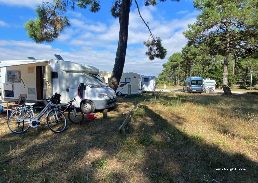 (33680) Lacanau - 8 Route de l'Atlantique — foto 4