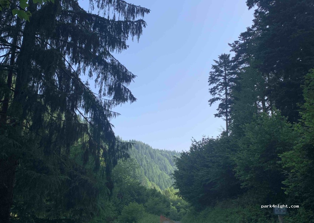 (79117) Freiburg im Breisgau - Großtalstraße — foto 3