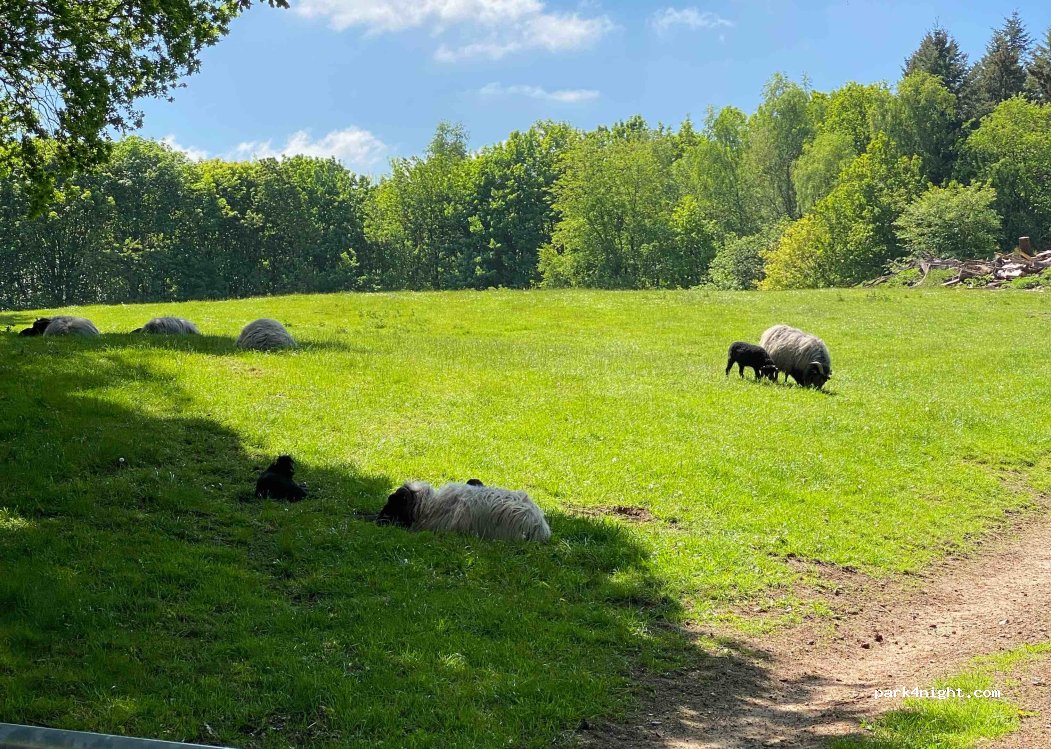(24247) Mielkendorf - Ihlseeweg — foto 2