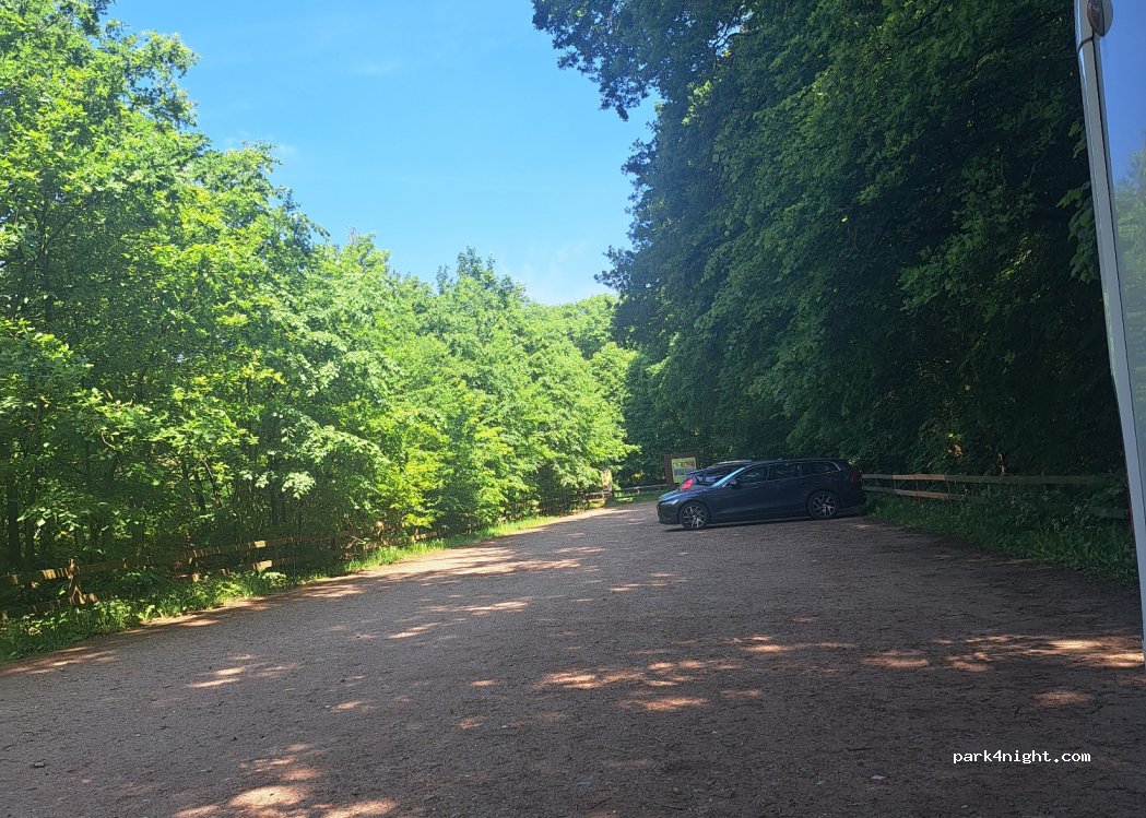 (3921 AH) Elst - — foto