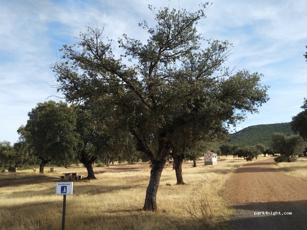(13116) Alcoba - Calle Eras de Arriba — foto 4