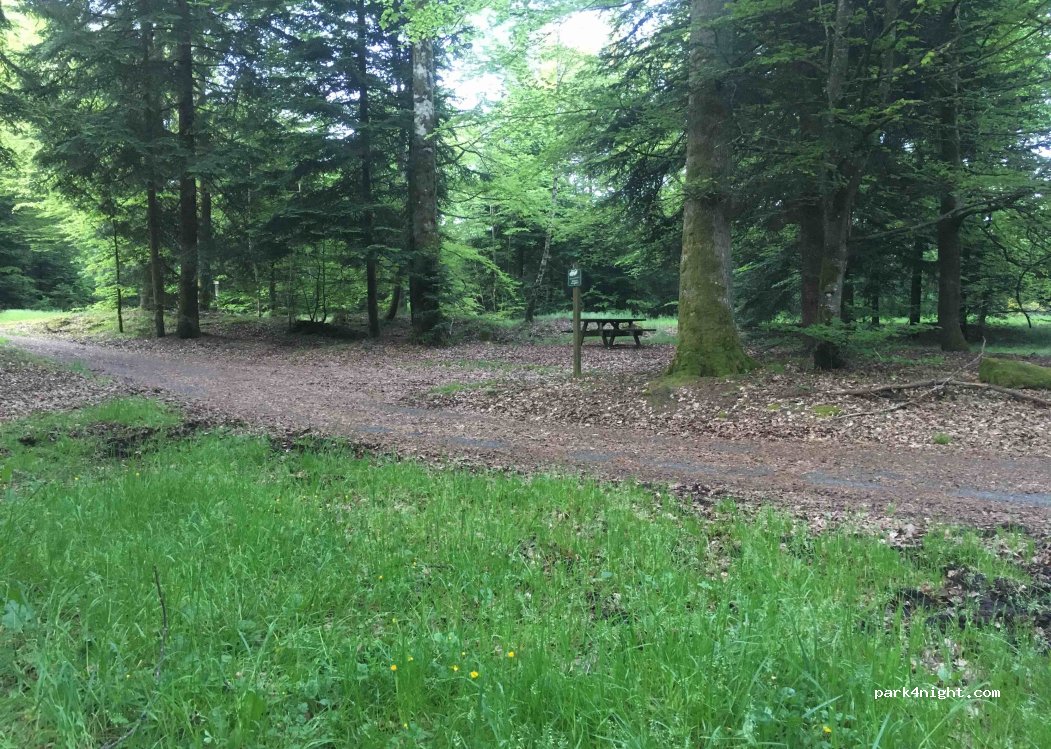 (54540) Badonviller - Unnamed Road — foto 2