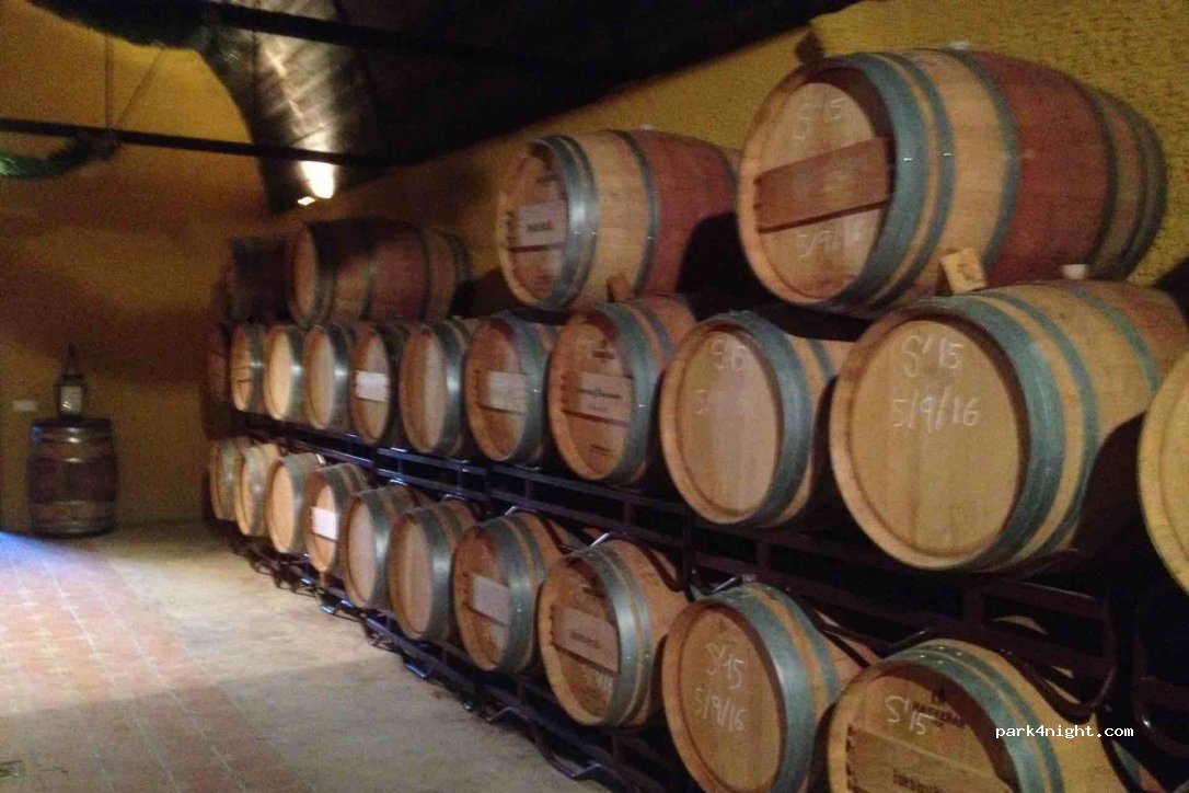 Bodega Fuente Victoria — foto