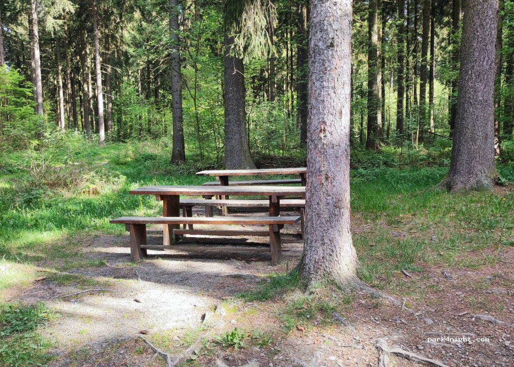 (09623) Rechenberg-Bienenmühle - S211 — foto 3